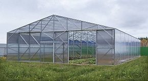 
            Теплица Фермерская 11,5 в г Озеры