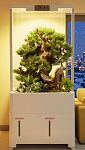 Гидропонные системы HX-01 Smart Garden