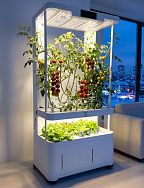 
            H2 Smart Garden