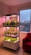 
            H3 Smart Garden